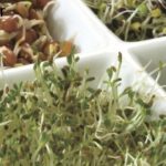 آیا می دانید علائم ناشی از فقر منیزیم شدید چیست ؟