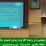 تاثیر استفاده از روش تصویر سازی ذهنی در کنار مداخلات کاردرمانی بر عملکرد کاری سالمندان مبتلا به سکته مغزی