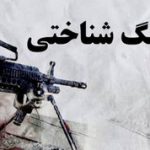 تاثیر جنگ بر فردیت و توانایی شناختی